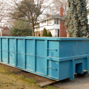 spring cleaning disposal bin